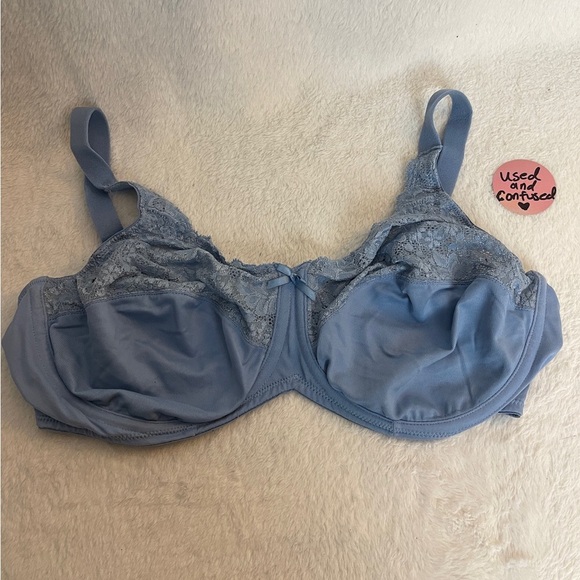 Lilyette Blue Lace Bra - Picture 1 of 4